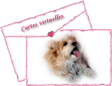 chien